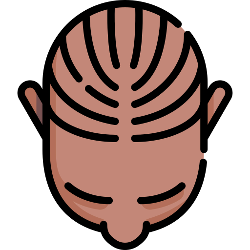 Cornrows icon