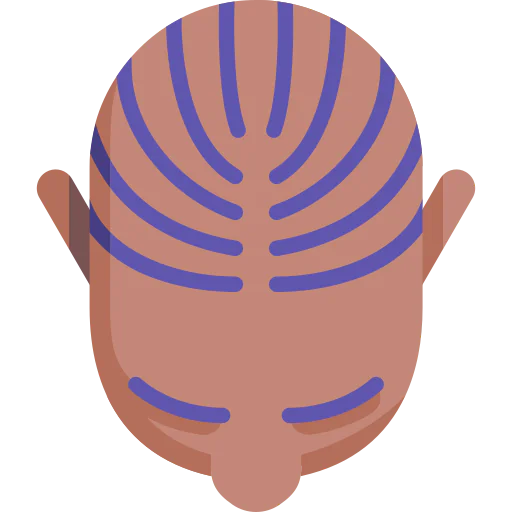 Cornrows icon