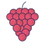 Grape icon 64x64