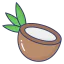 Coconut icon 64x64