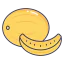 Melon icon 64x64