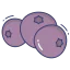 Berry icon 64x64