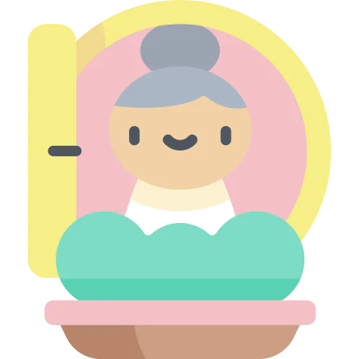 Window icon
