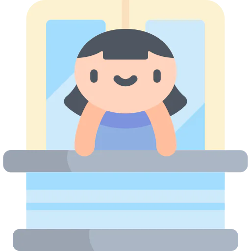 Window icon