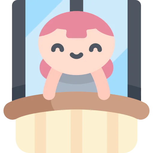 Window icon