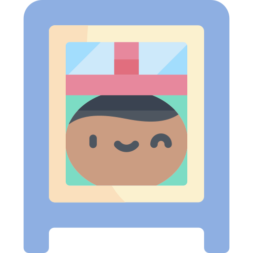 Window icon