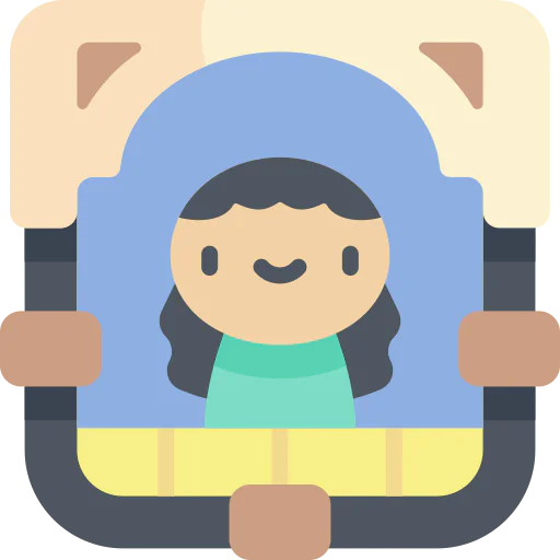 Window icon
