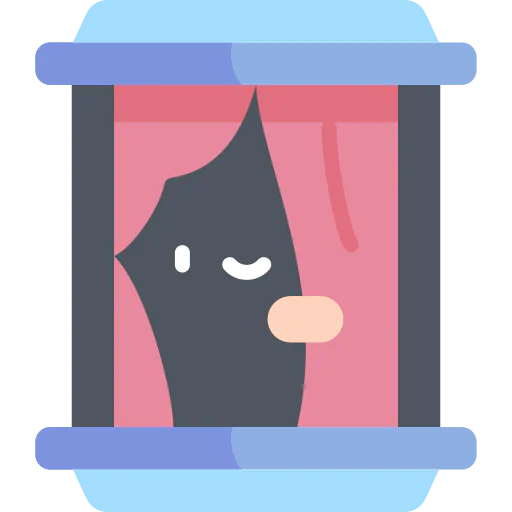 Window icon
