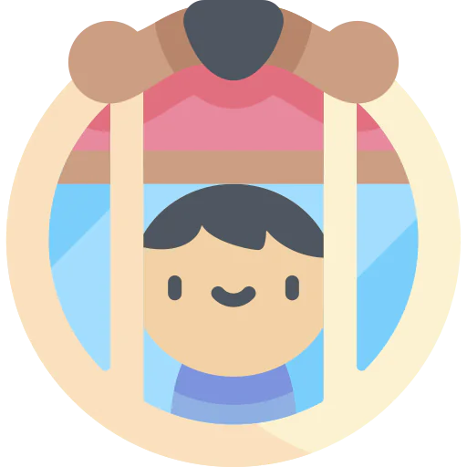 Window icon