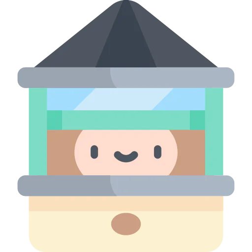 Window icon
