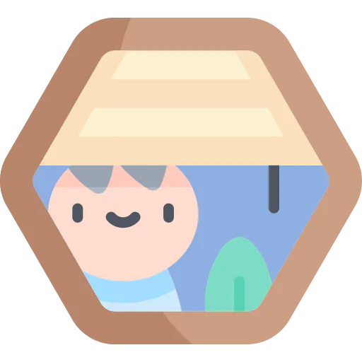 Window icon