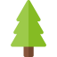 Pine ícone 64x64