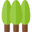 Forest ícone 64x64
