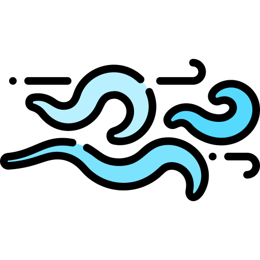 Wind icon