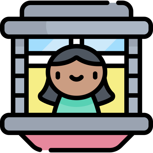 Window icon