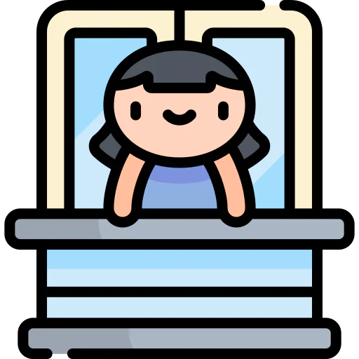 Window icon