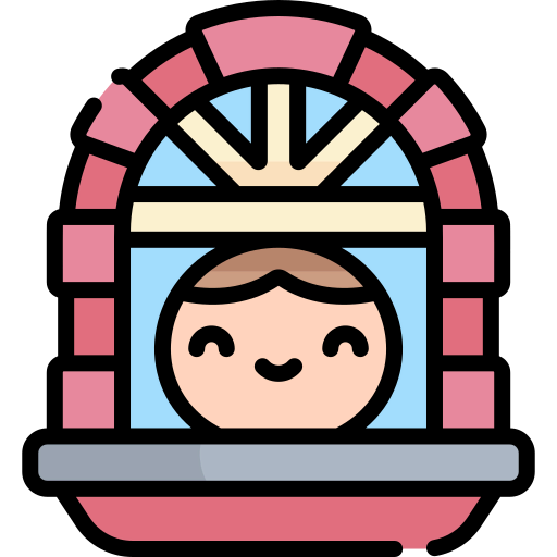 Window icon