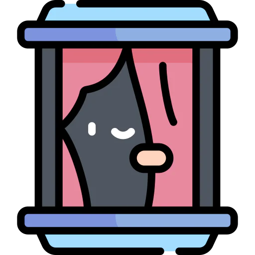 Window icon
