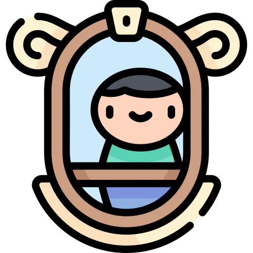Window icon