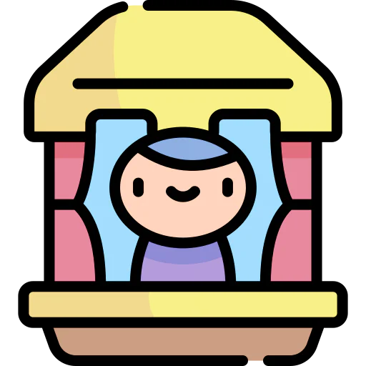 Window icon
