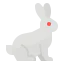 Rabbit icon 64x64
