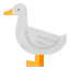 Duck icon 64x64
