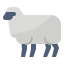 Sheep icon 64x64