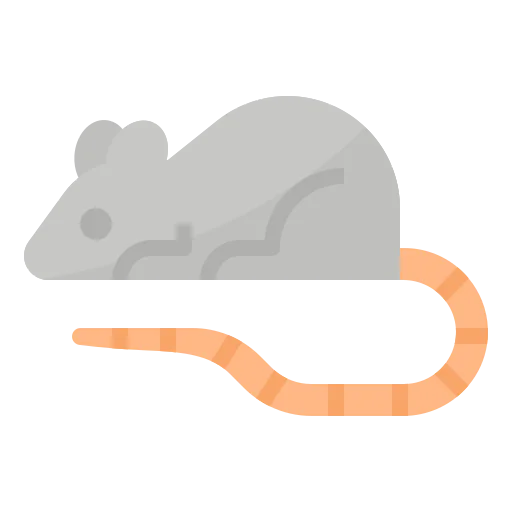 Mouse icon