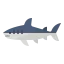 Shark icon 64x64