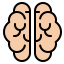 Brain icon 64x64