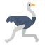 Ostrich アイコン 64x64