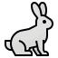 Rabbit アイコン 64x64