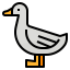 Duck アイコン 64x64
