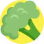 Broccoli icon 64x64