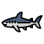 Shark アイコン 64x64