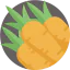 Carrot icon 64x64