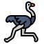Ostrich アイコン 64x64