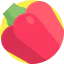Red pepper icon 64x64