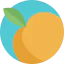 Peach icon 64x64