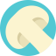 Mushroom icon 64x64