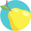 Pear icon 64x64