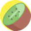 Kiwi icon 64x64
