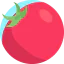 Tomato icon 64x64