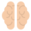 Brain ícone 64x64