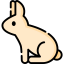 Rabbit 图标 64x64