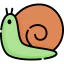 Snail 图标 64x64