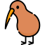 Kiwi 图标 64x64