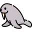 Walrus 图标 64x64