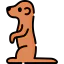 Meerkat 图标 64x64