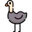 Ostrich 图标 64x64